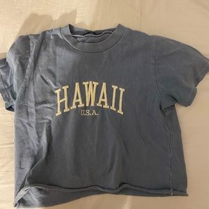 brandy hawaii crop top